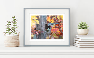 The photo of a sleeping Becorn and a tufted titmouse in a thin, gray frame on a white shelf against a white wall. On either side of it are potted plants and a small stack of books. In the lower right corner of the print’s white border is David Bird’s signature.