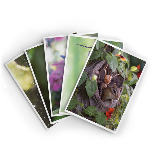 Buddies ~ Pack of Five Note Cards