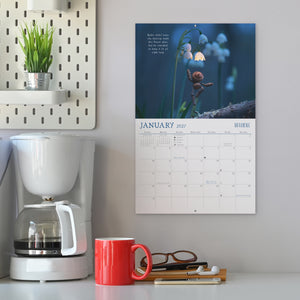 2027 Becorn Calendar - Coming in Late September