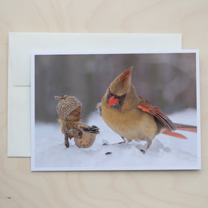 Winter ~ Packung mit fünf Notizkarten