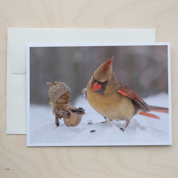 Winter ~ Packung mit fünf Notizkarten