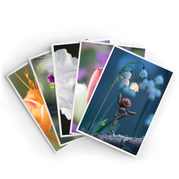 Flores ~ Paquete de cinco tarjetas con notas