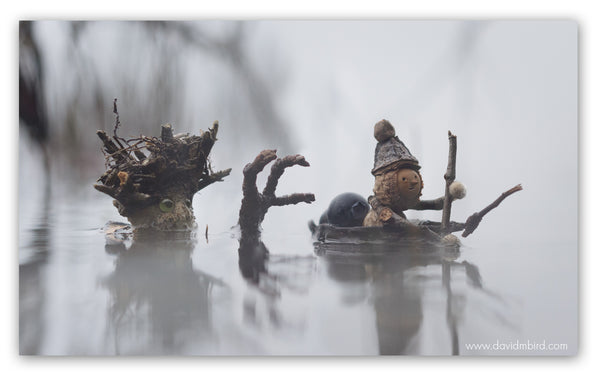 Foggy Bog