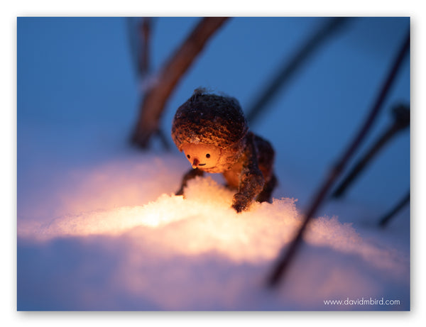 Glowing Snow