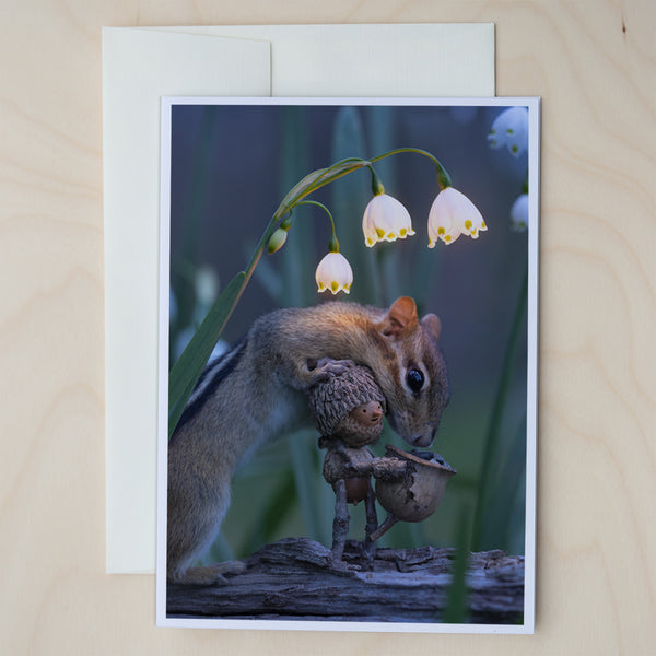Picnic ~ Pack of Five Note Cards