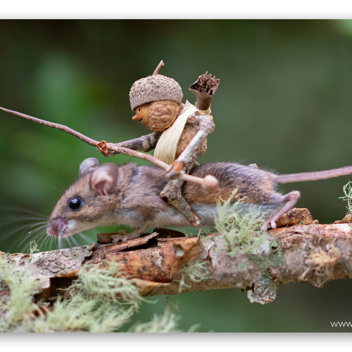 Mouse Rider Print – David M Bird