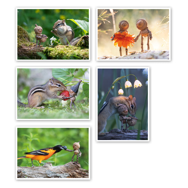 Picnic ~ Pack of Five Note Cards