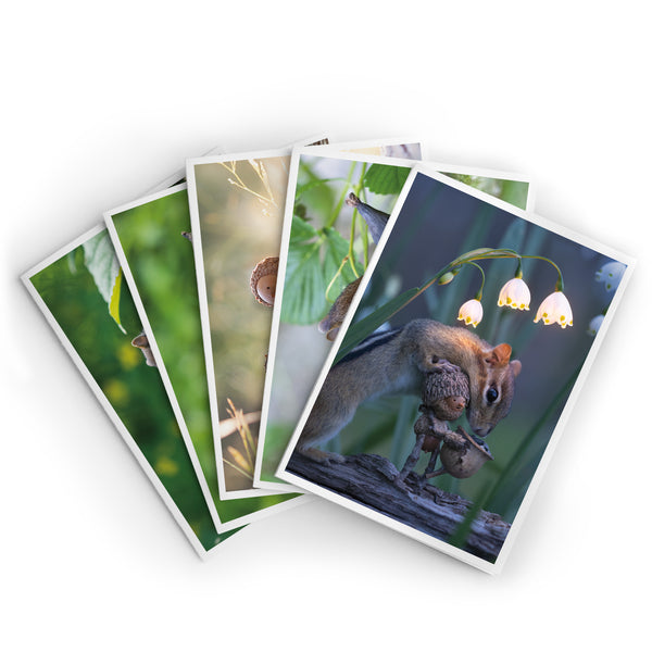 Picnic ~ Pack of Five Note Cards