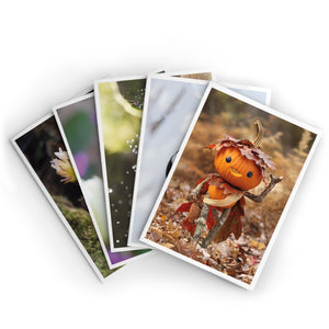 Seasons ~ Pack of Five Note Cards