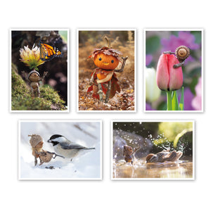 Seasons ~ Pack of Five Note Cards