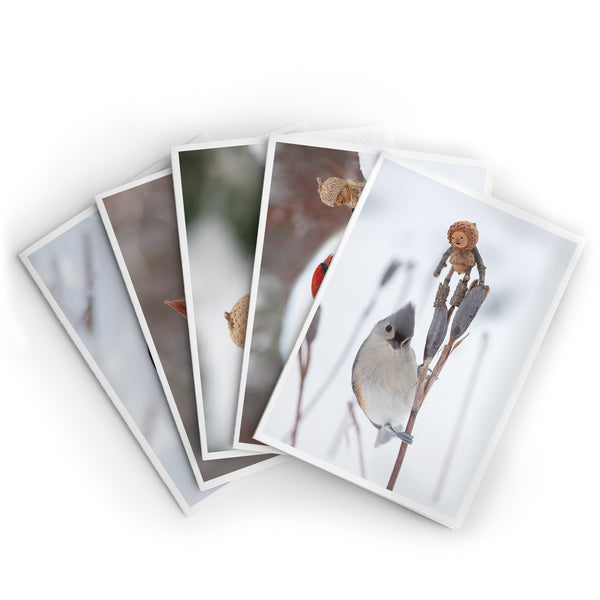 Winter ~ Packung mit fünf Notizkarten
