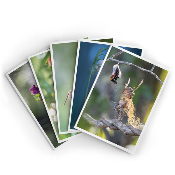 Wonder ~ Pack of Five Note Cards