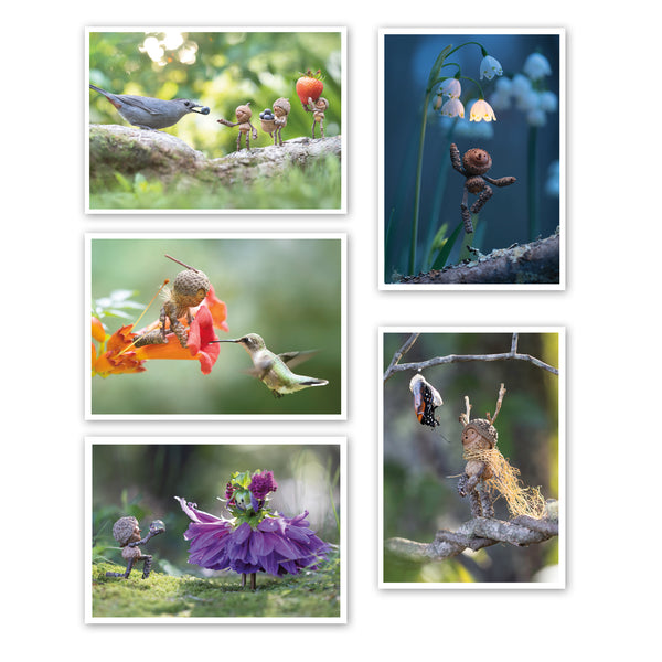 Wonder ~ Pack of Five Note Cards